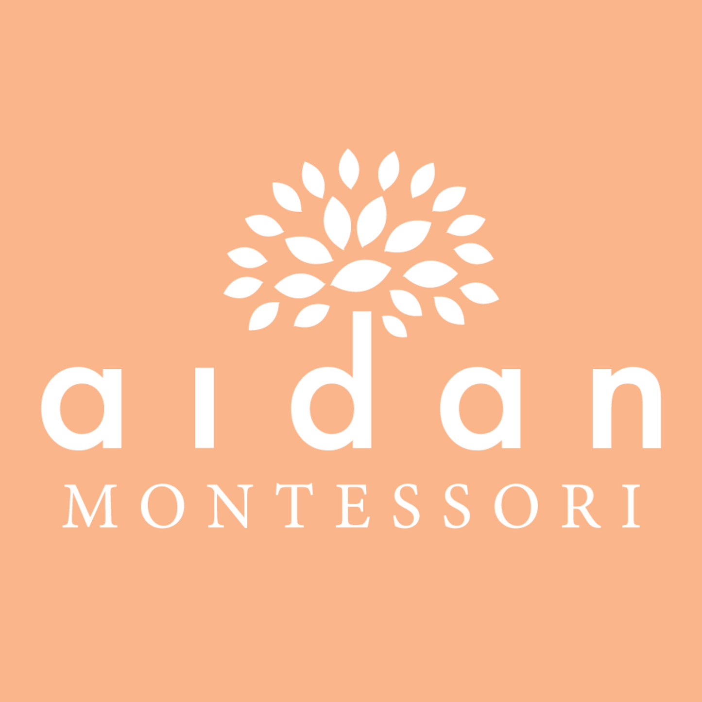 Aidan Athletic Shorts