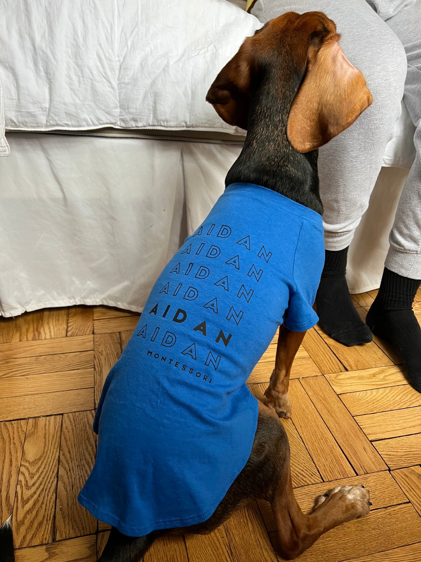 Pet Bandanas & T-Shirts